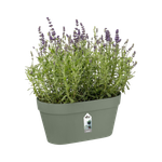 loft urban green wall duo 28cm vert pistache